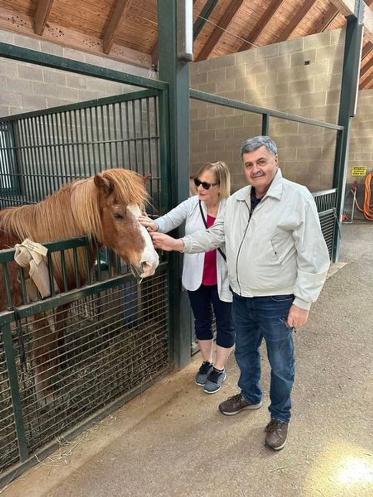 kd horse farm