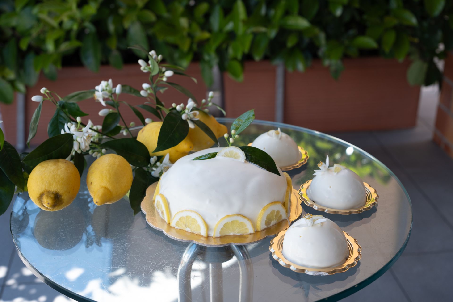 Limoni con fiori e torta al limone su un tavolo di vetro; fogliame verde sullo sfondo.