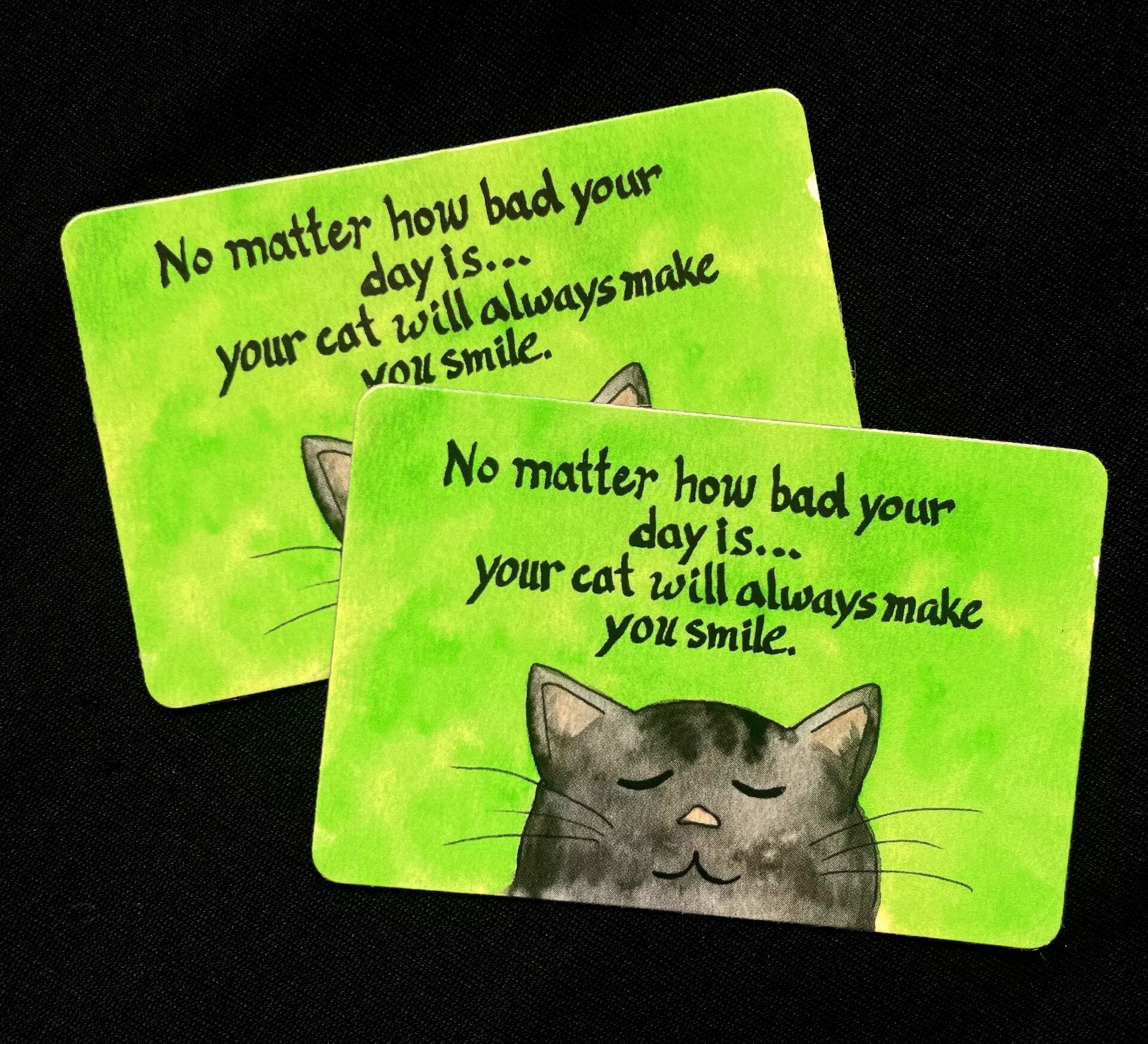 Cat Magnet