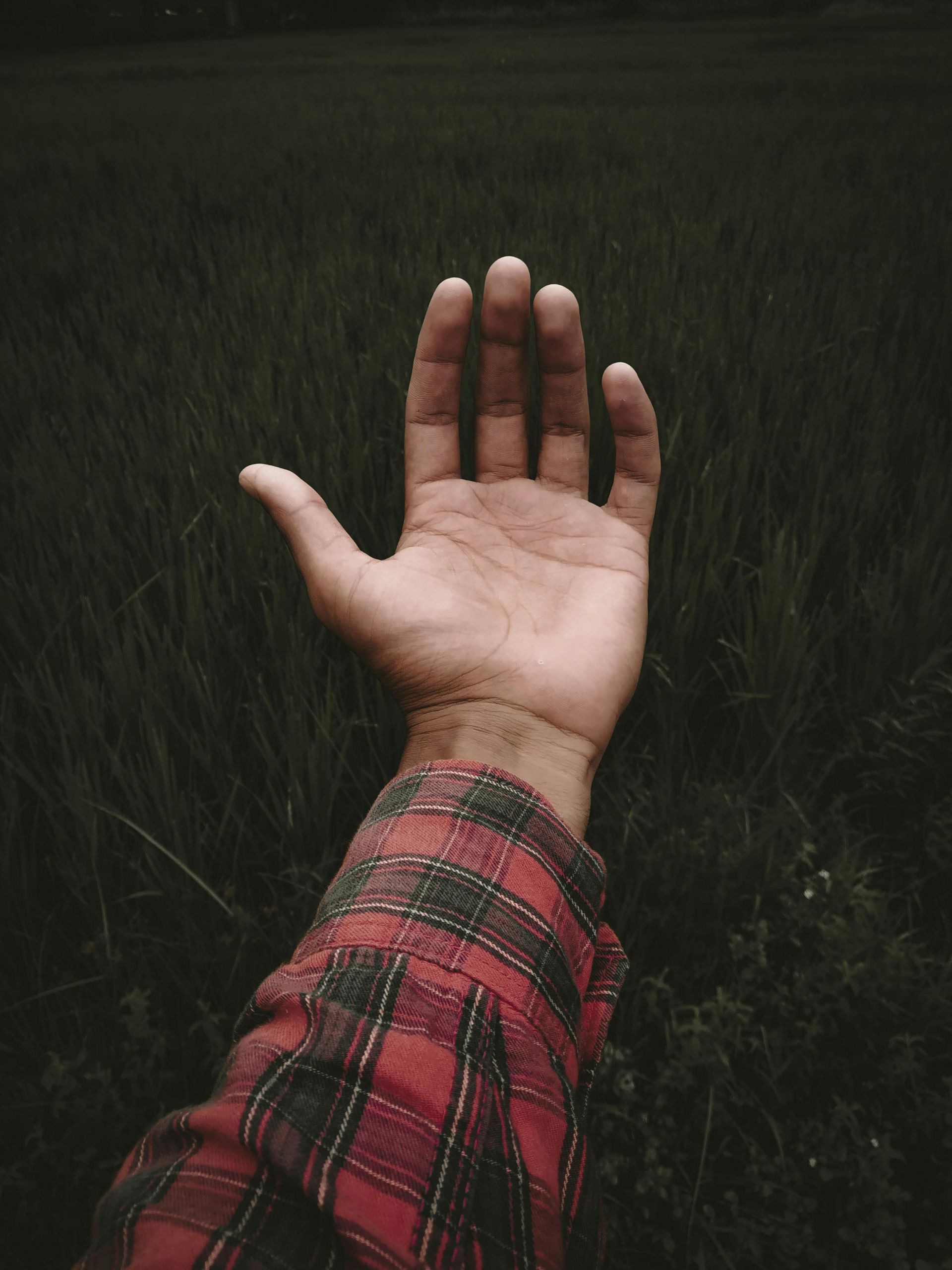 A person 's hand is reaching out in a field of grass.as a sign of invitation