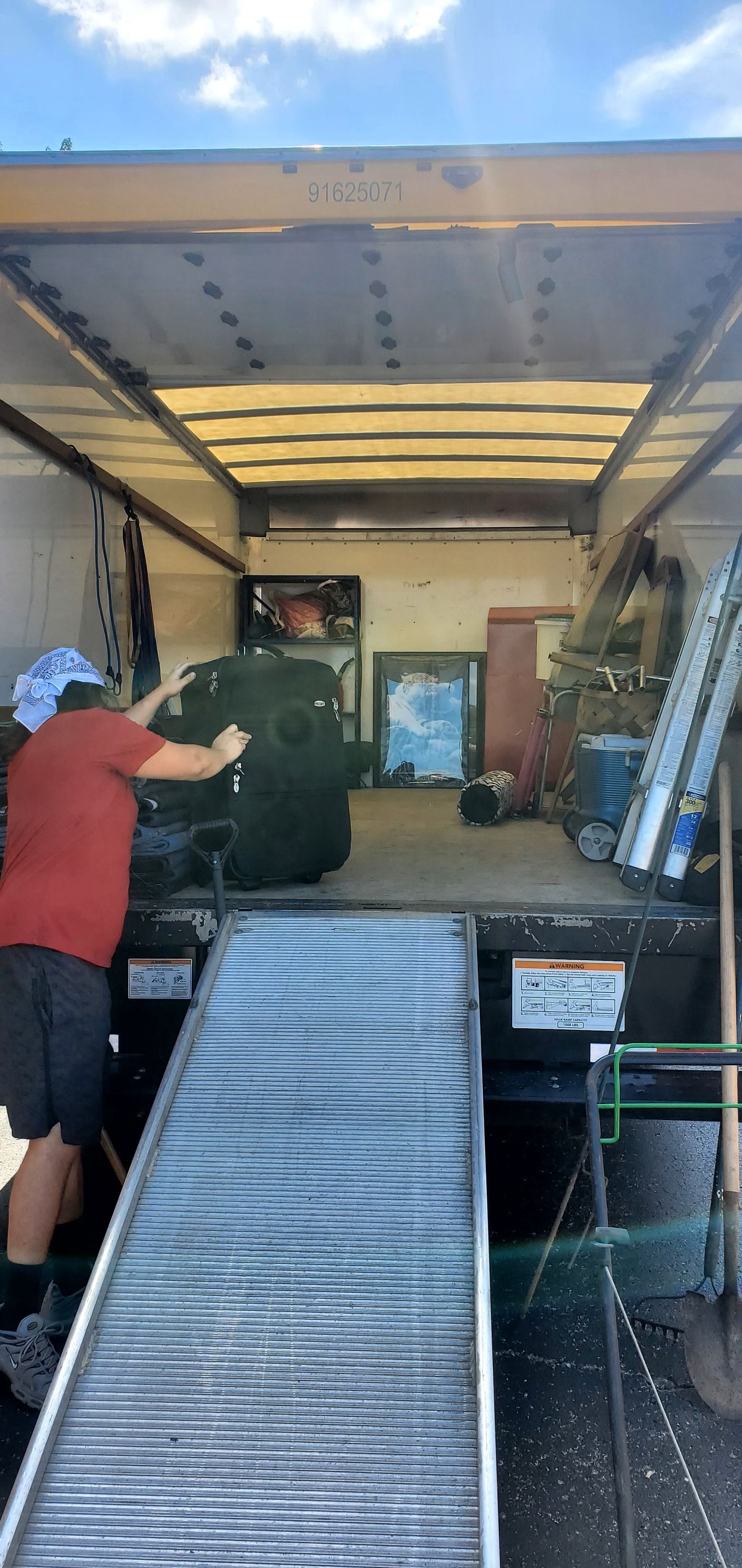 A man is loading a christmas tree into a truck.