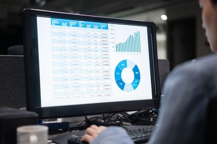 A person is using a computer with a pie chart on the screen.