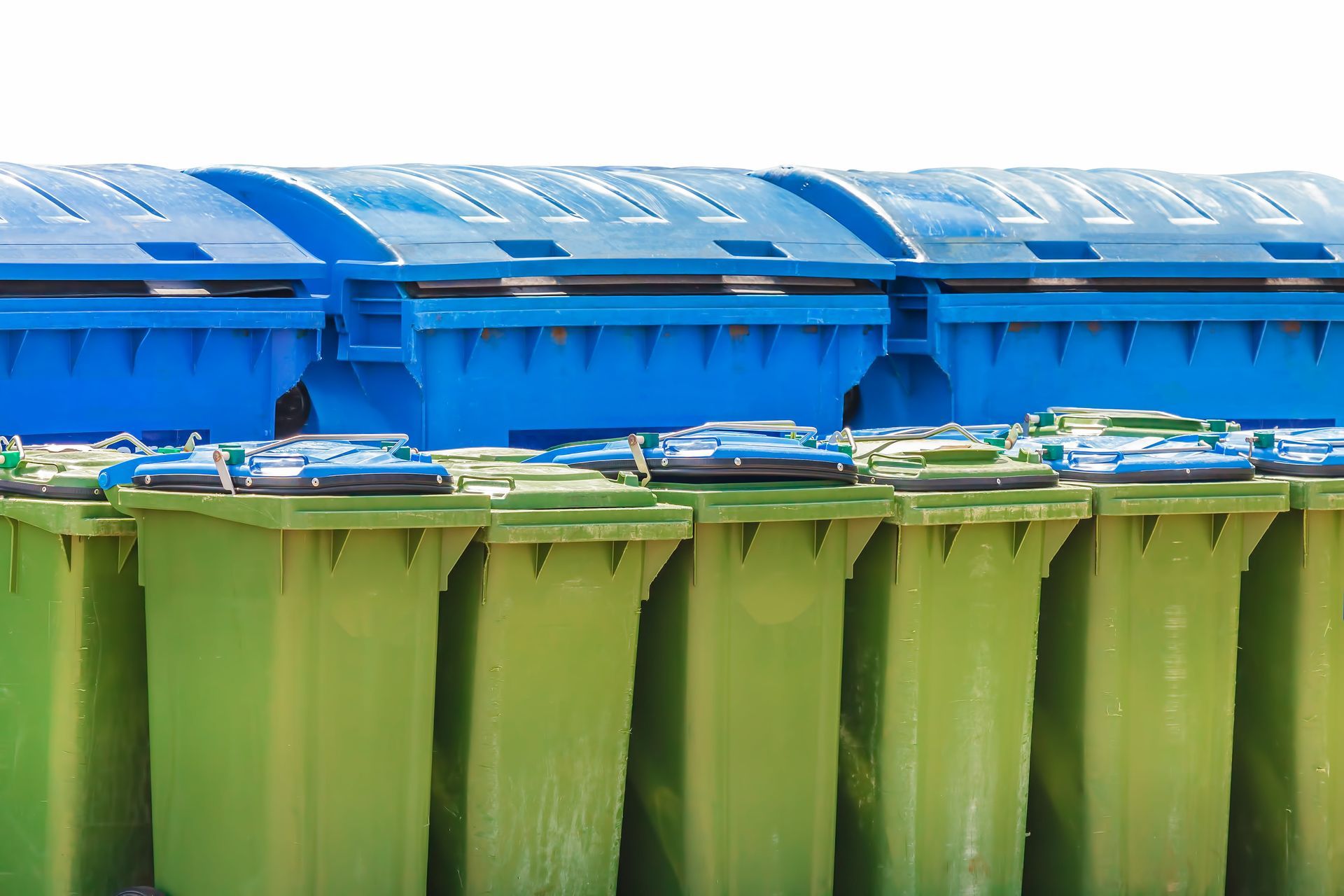 Blue recycling bins lined up behind green bins outdoors