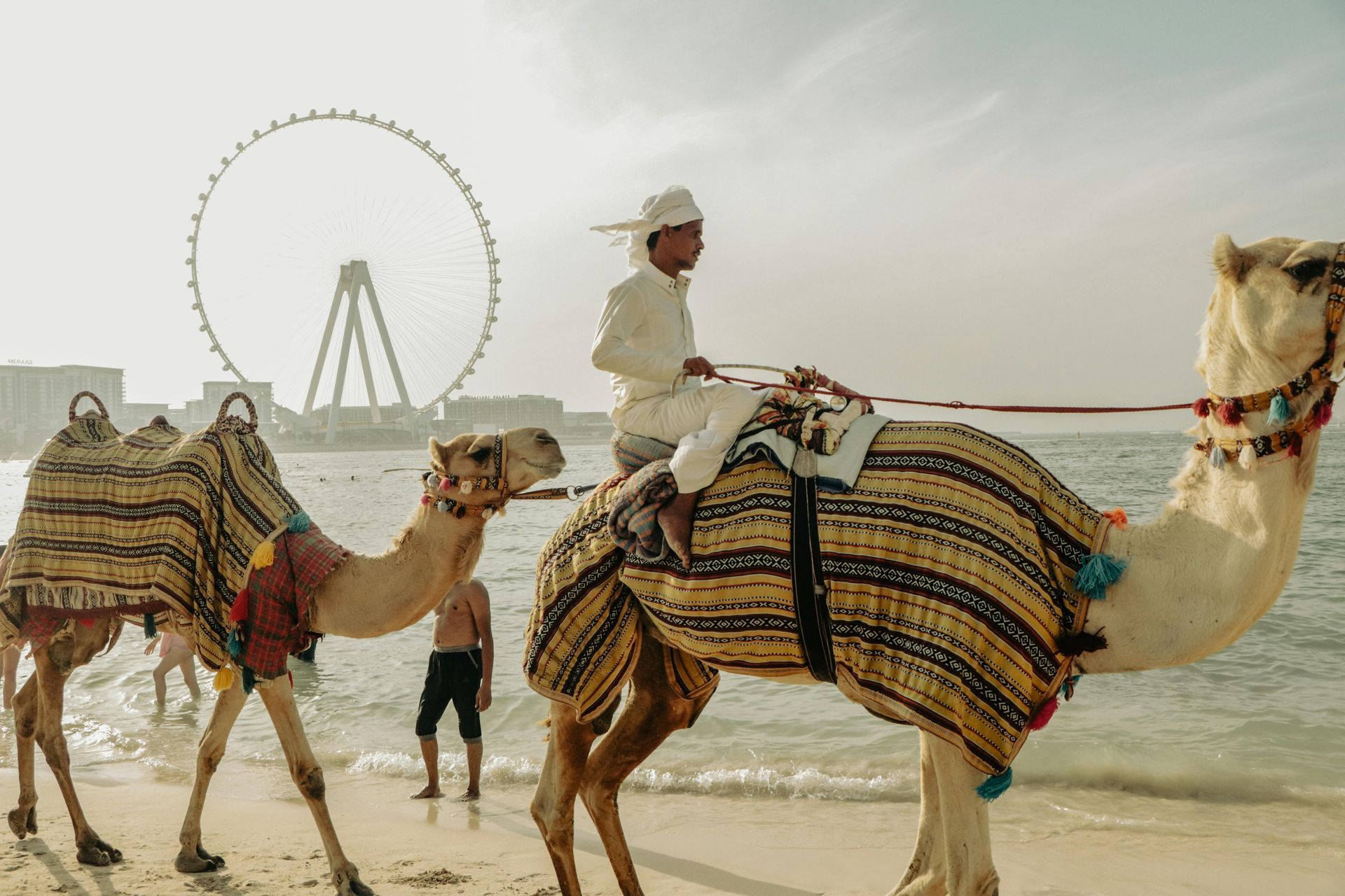 Travelzaha Tourism