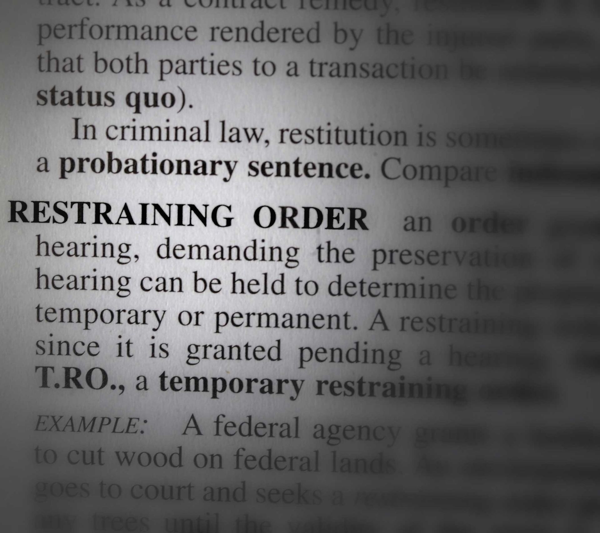 Text definition for 