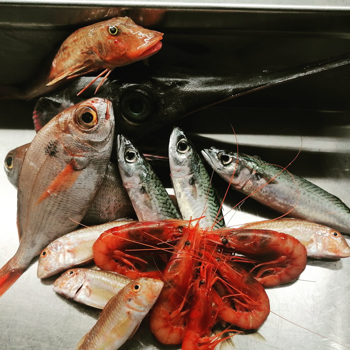 Un mucchio di pesce e gamberi su un tavolo