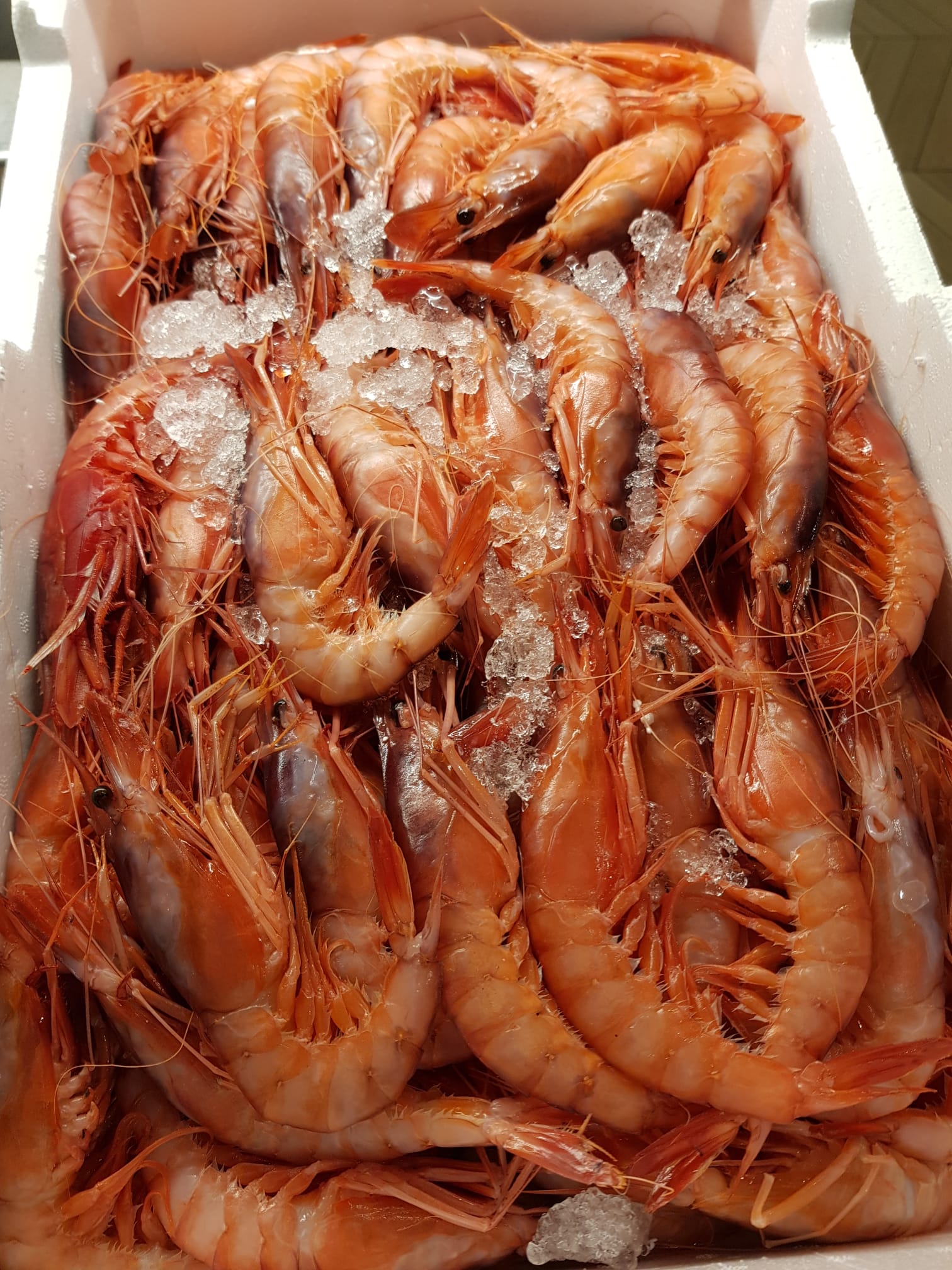 Una scatola piena di gamberetti e ghiaccio su un tavolo.