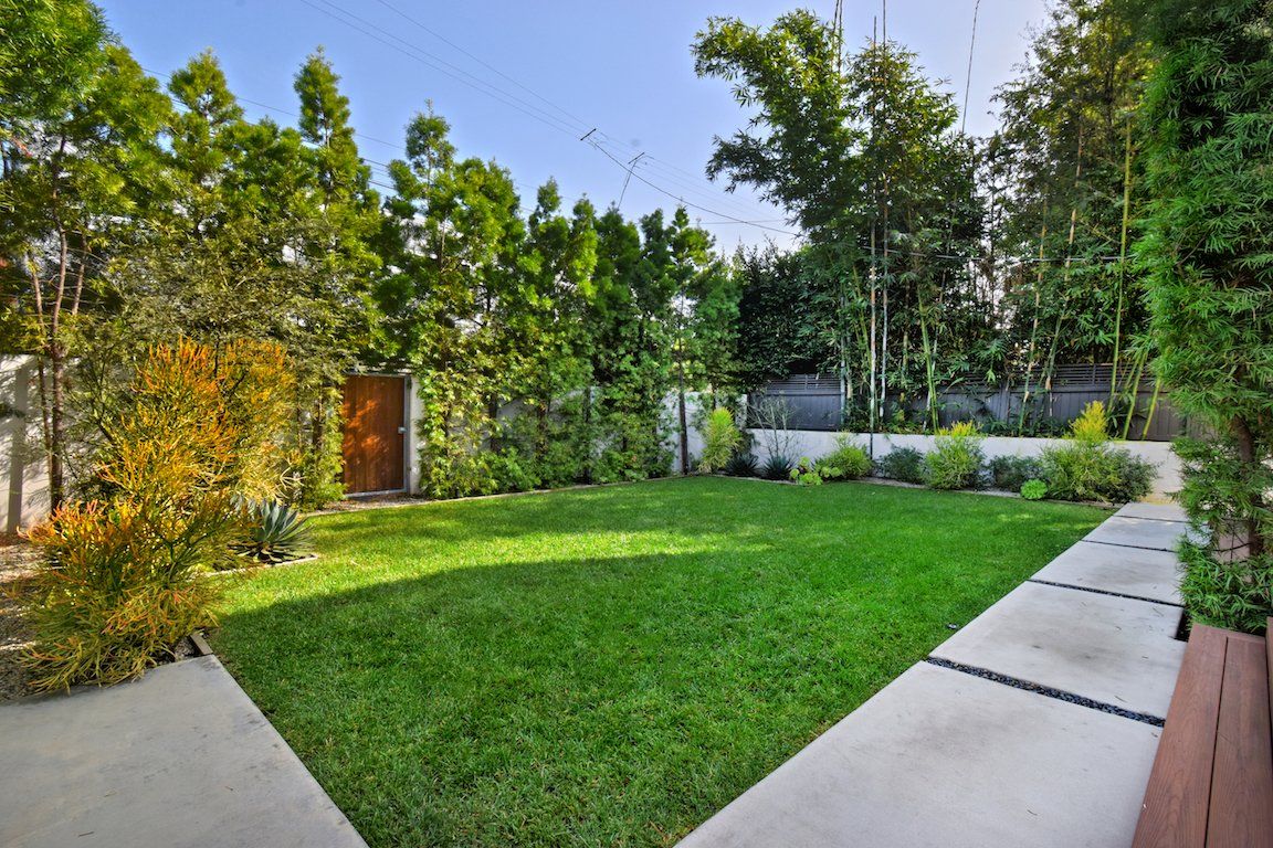 A lush green yard with a concrete walkway leading to it