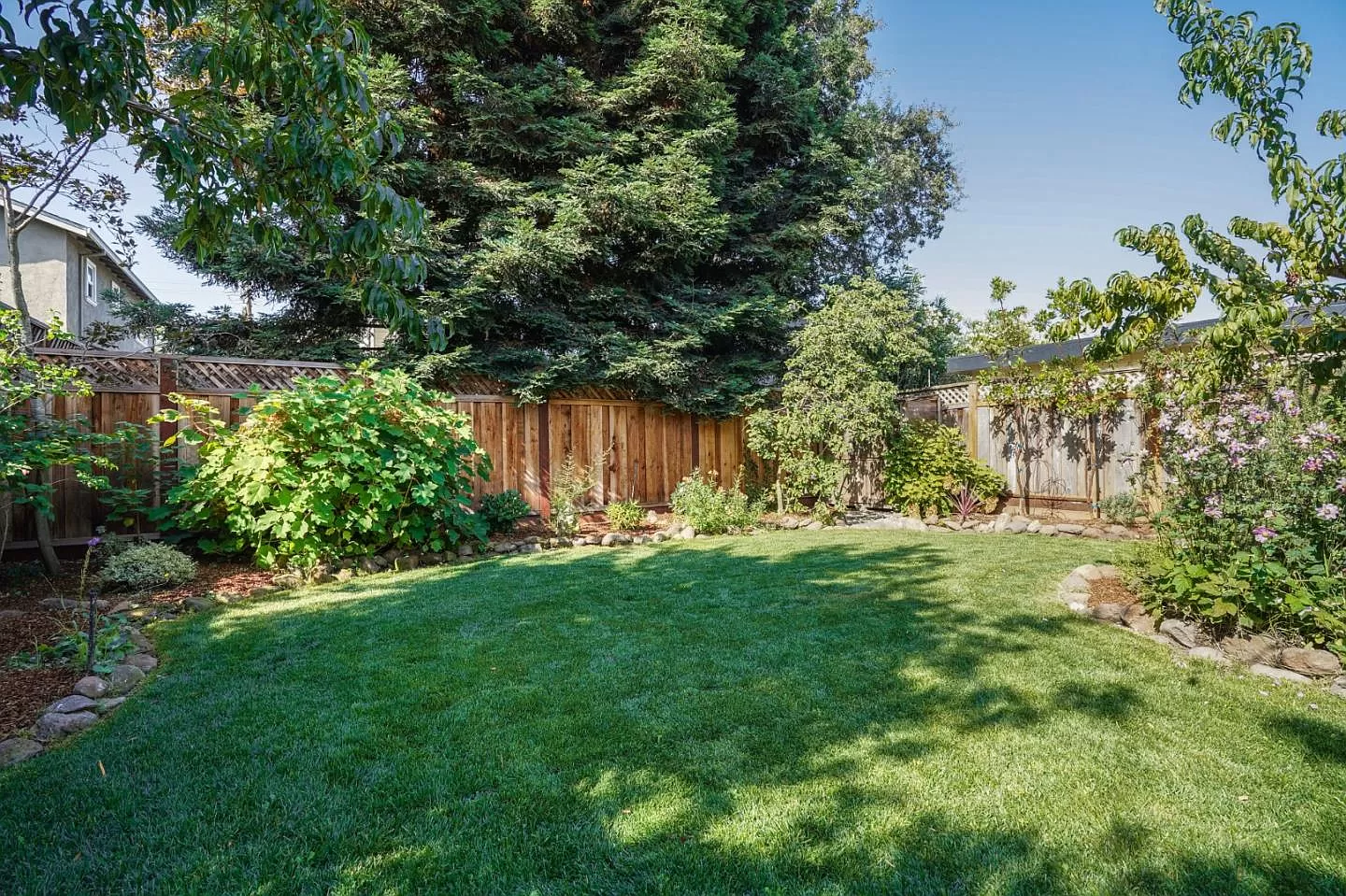 A lush green backyard with a wooden fence and trees.