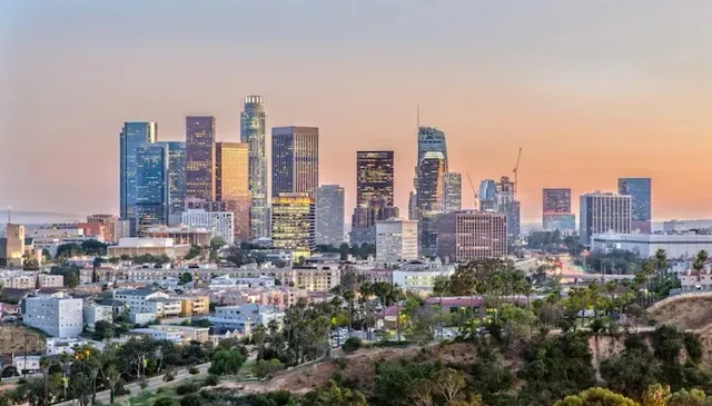 An aerial view of a city skyline at sunset with trees in the foreground.