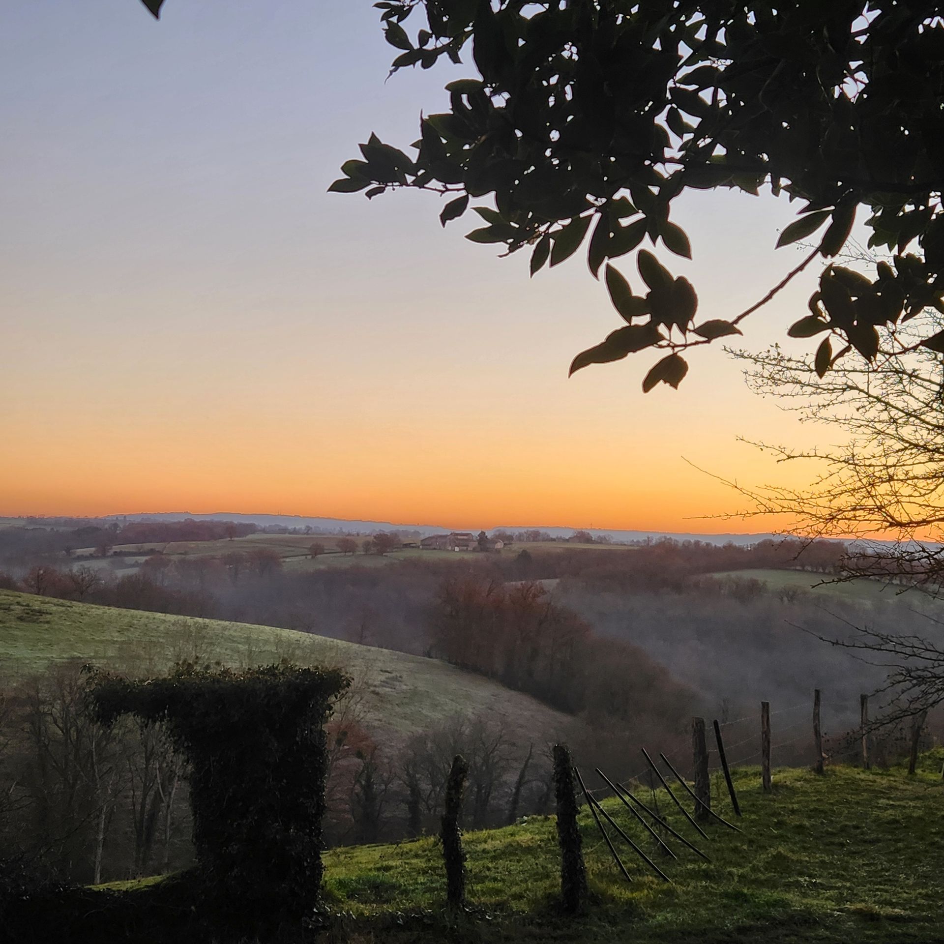 Un lever de soleil sur des collines ondulantes