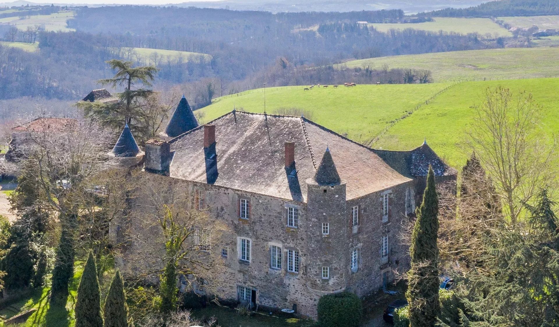 Stone castle with conical turrets and a tiled roof, set against a green hillside and trees.