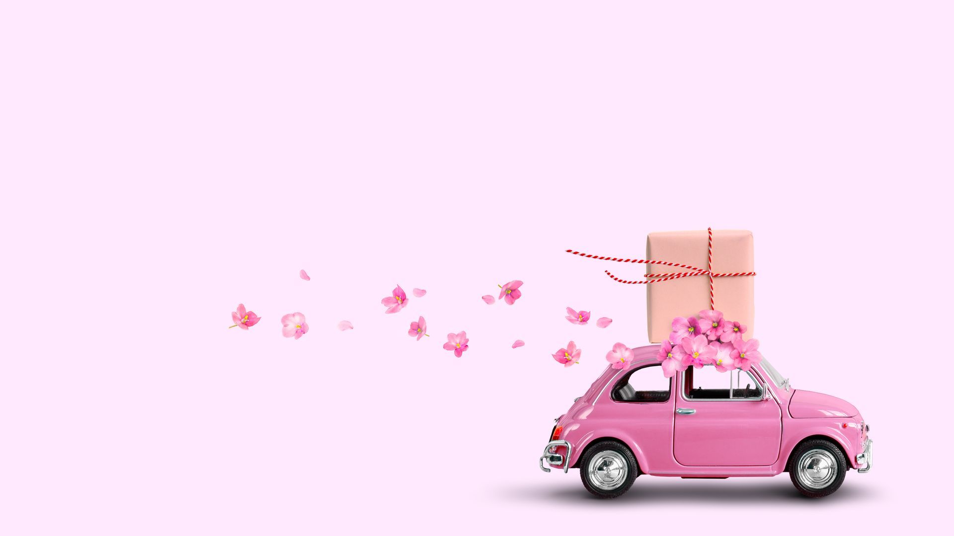 Mother's Day Original Present Combo - Car Detailing and Spring Maintenance | In Stock Auto Outlet an