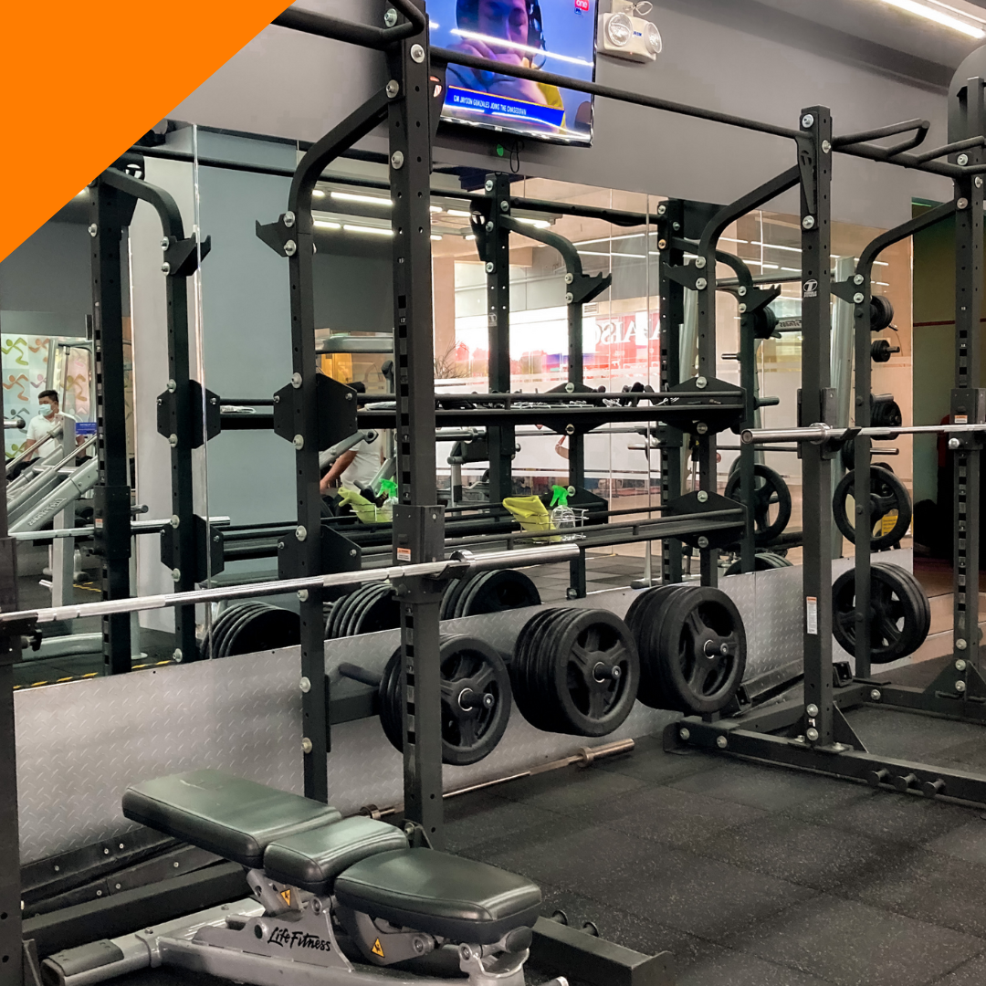A gym with a bench and a barbell rack