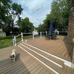 A deck with two dogs, a table, and trees. One dog walks toward the viewer; another rests on the deck.