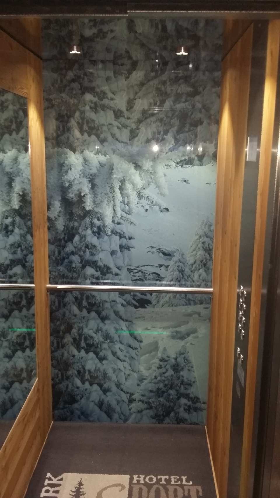 Ascensore decorato