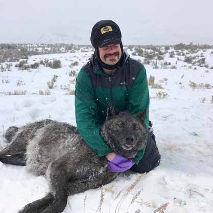 Adam Fahnestock Yellowstone Park Tour Guide