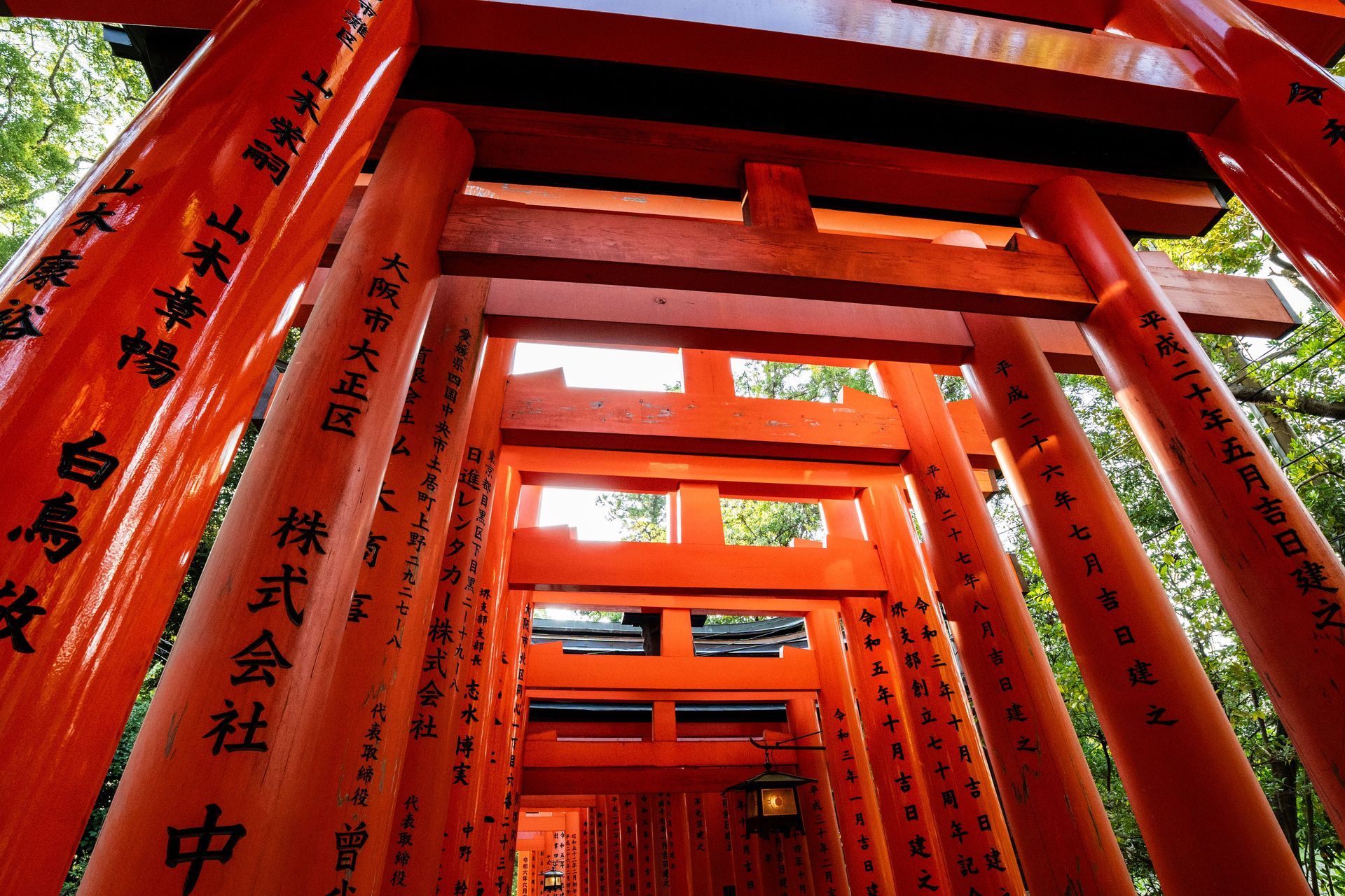 Red torii gates lining a path, with vertical black Japanese inscriptions on the posts.