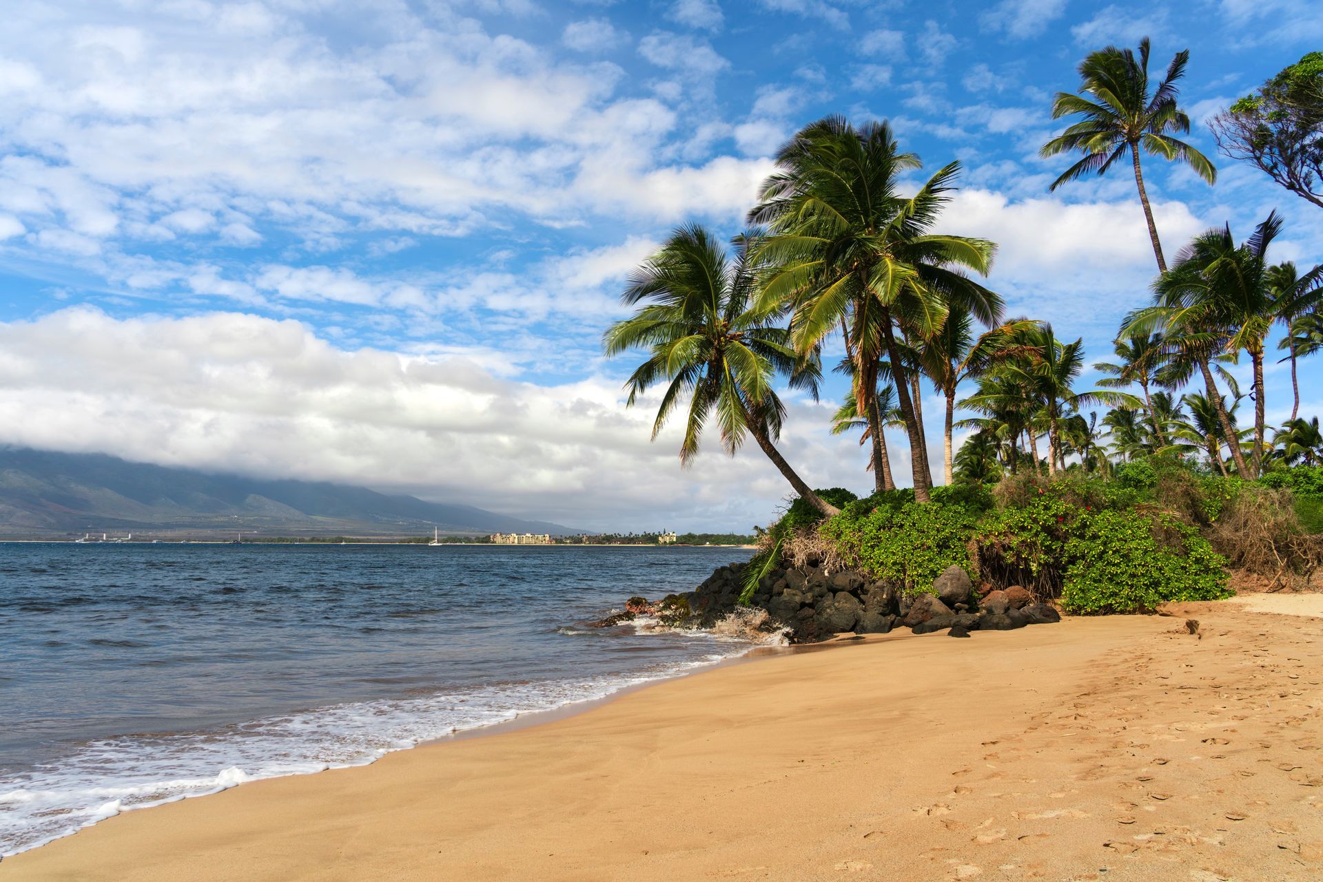 Tropical beach with palm trees, golden sand, blue ocean, and cloudy sky
