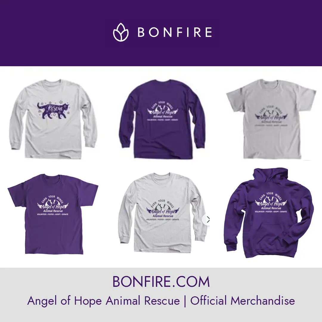 Bonfire Store