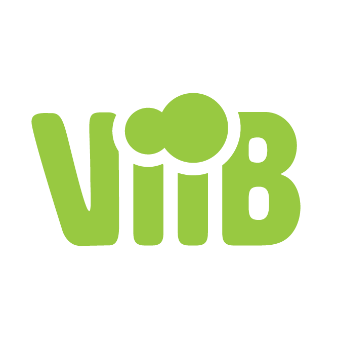 The word viib is written in pink and orange watercolor.