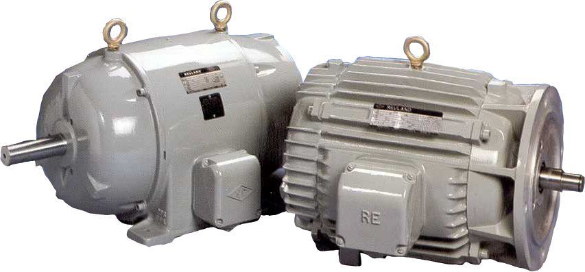 Hazardous Duty Motor