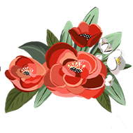 A bunch of red flowers with green leaves on a white background