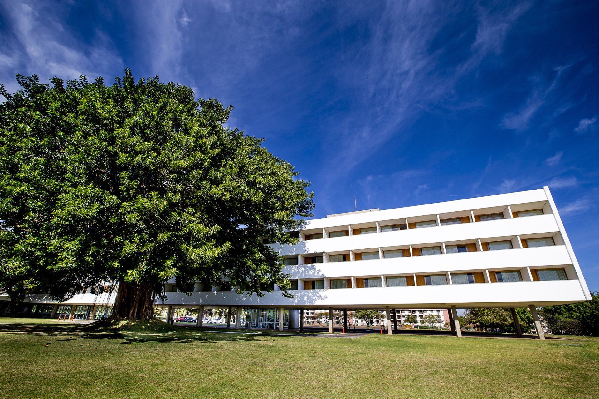 Prédio de hotel branco com uma grande árvore em um gramado verde sob um céu azul.