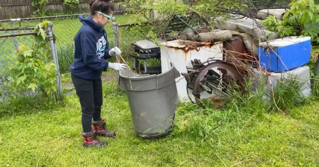 Yard Cleanup Middletown, DE