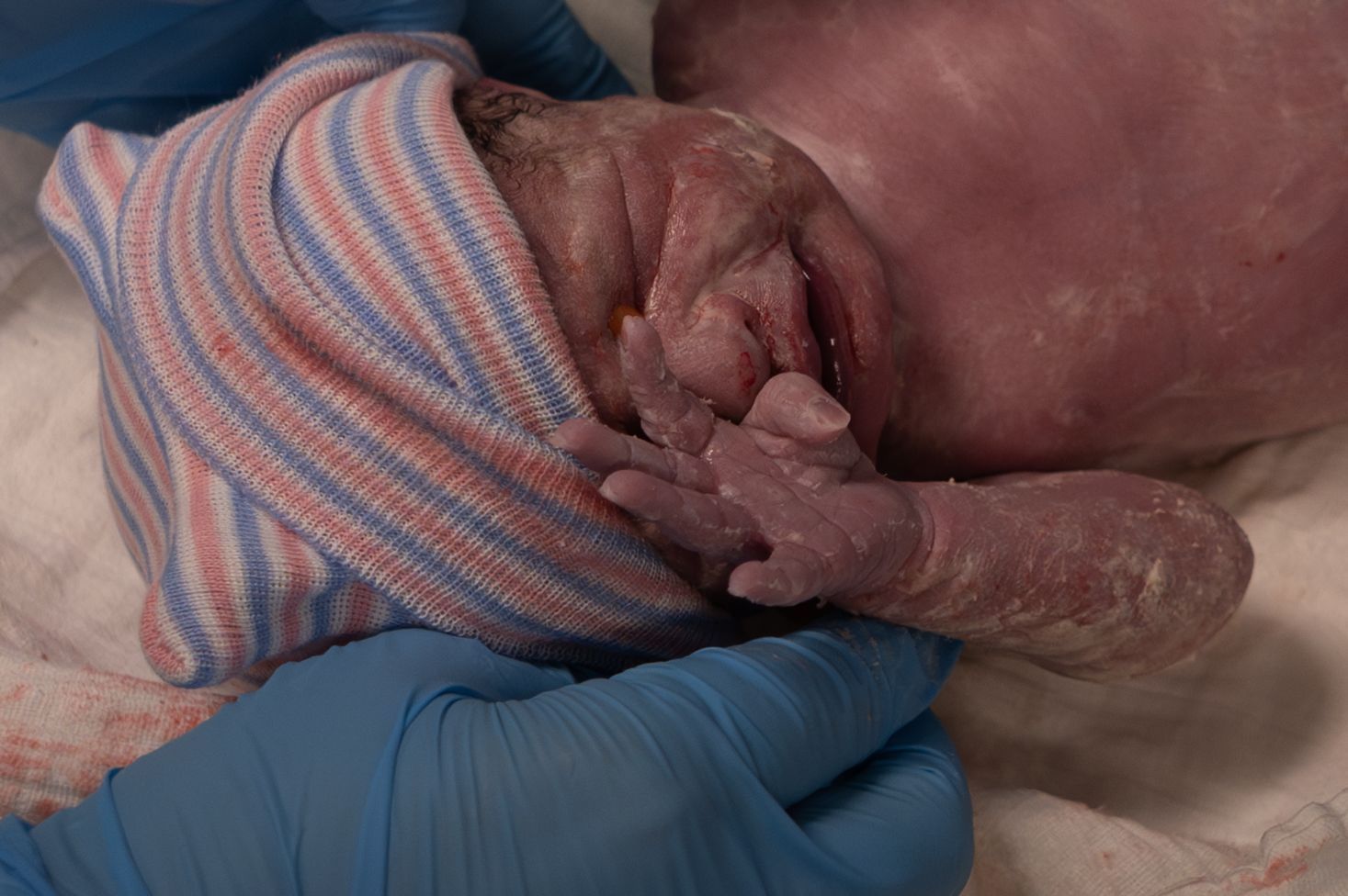 Newborn