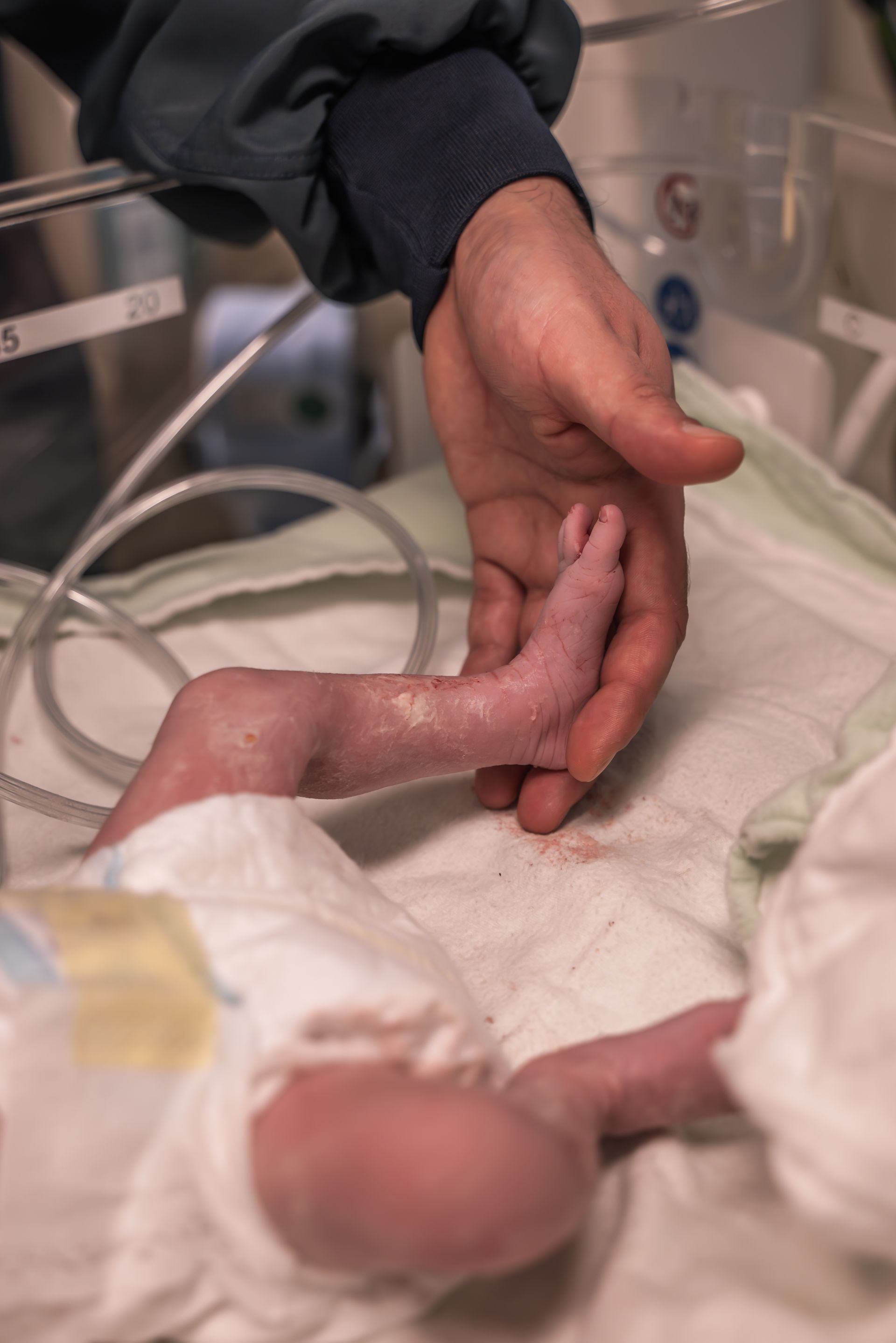De eerste aanrakingen van papa met de twins