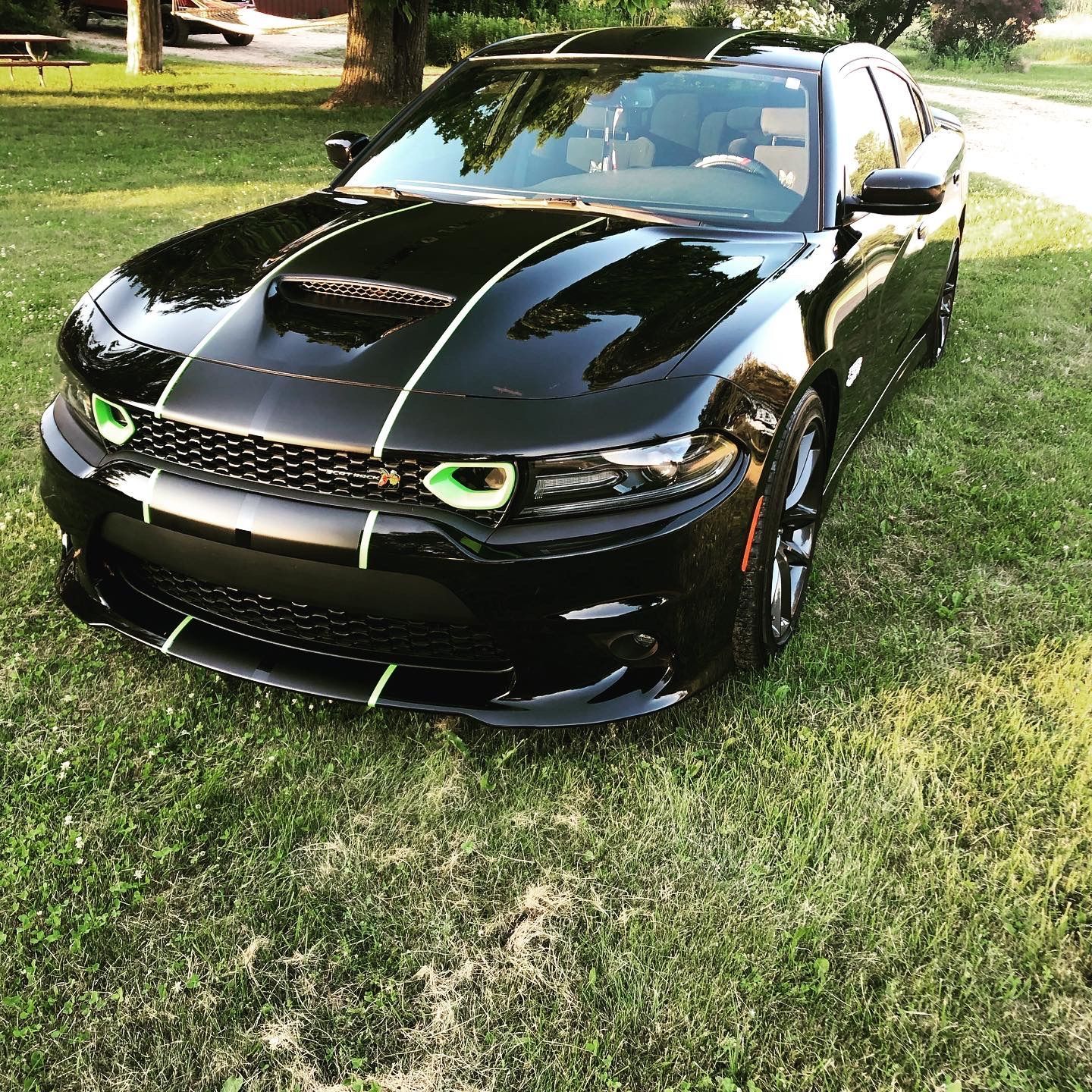 A black dodge charger is parked in the grass