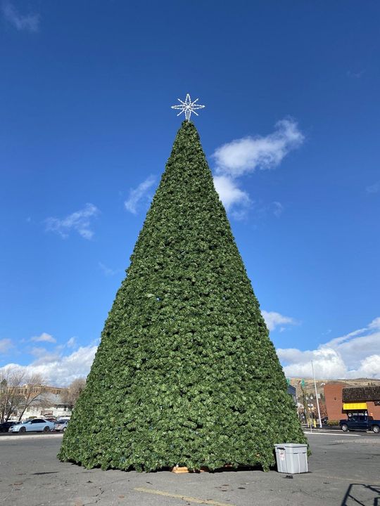 Large cone-shaped holiday tree made of greenery in a parking lot under a blue sky