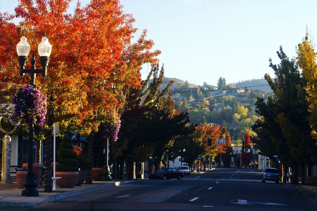 Tree-lined street with autumn foliage, lampposts, and distant hills under clear blue sky