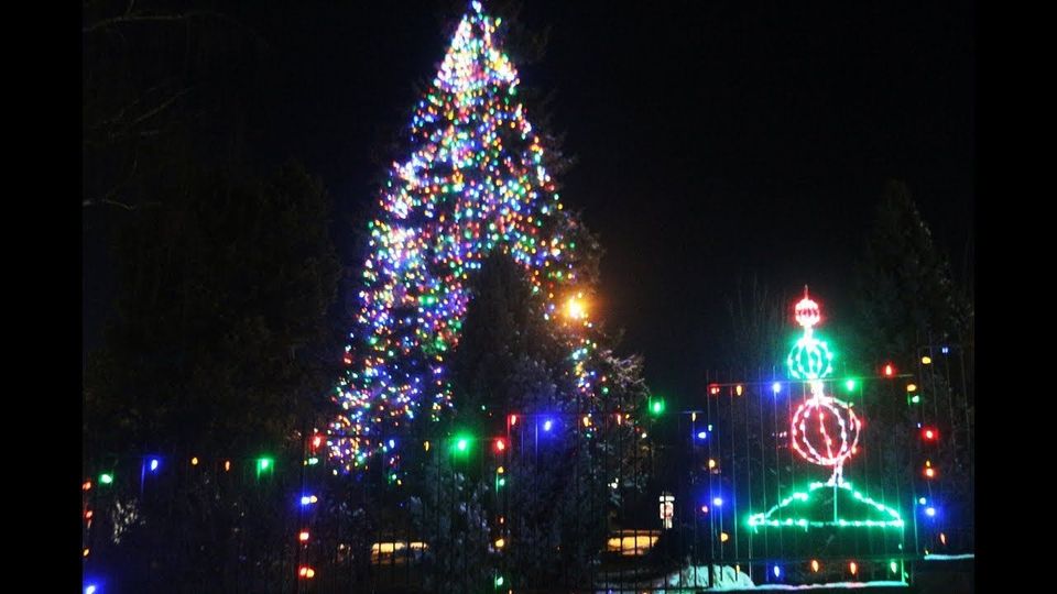 Large Christmas tree covered in multicolored lights at night, with a smaller lit decoration beside it