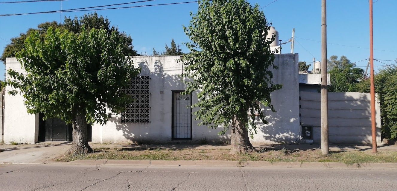 Casa blanca de una sola planta con dos árboles delante y una valla metálica junto a la carretera.