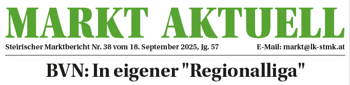 Zeitungsartikel