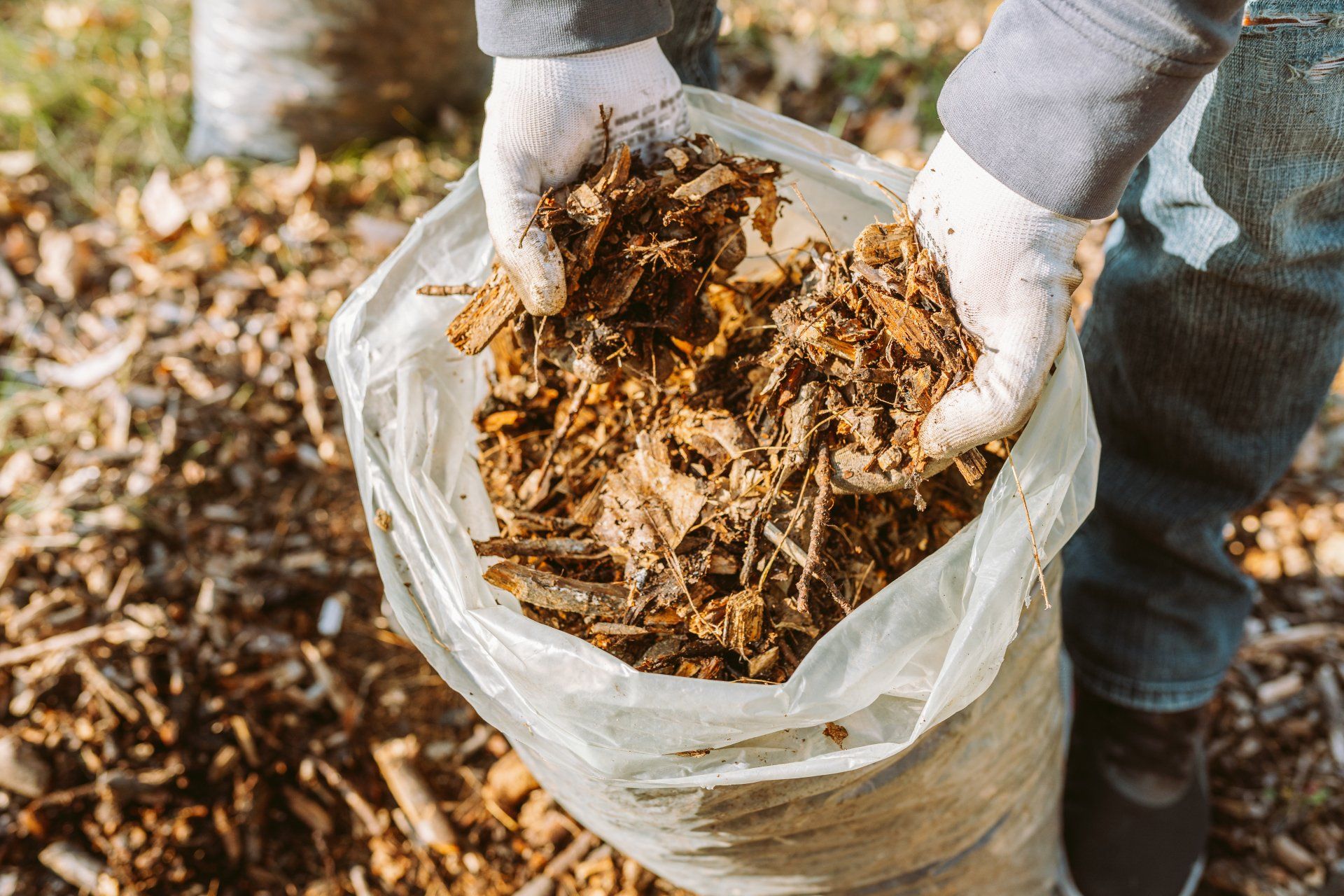 Get tree mulching in San Antonio, TX by Border Construction Services