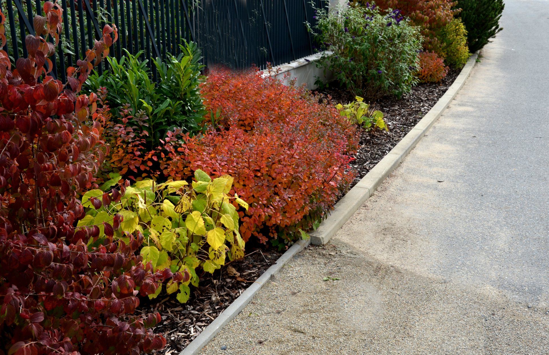 Get tree mulching in San Antonio, TX by Border Construction Services