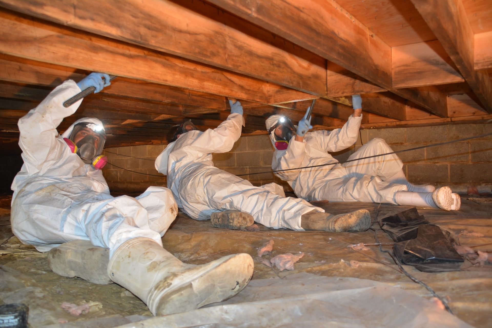 Three workers in white protective suits crawl under low wooden beams with flashlights in a crawlspace