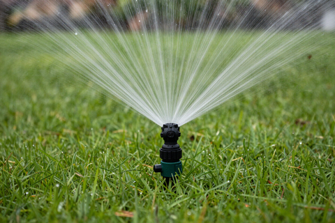 giardino in stile inglese progettato da Emil Garden