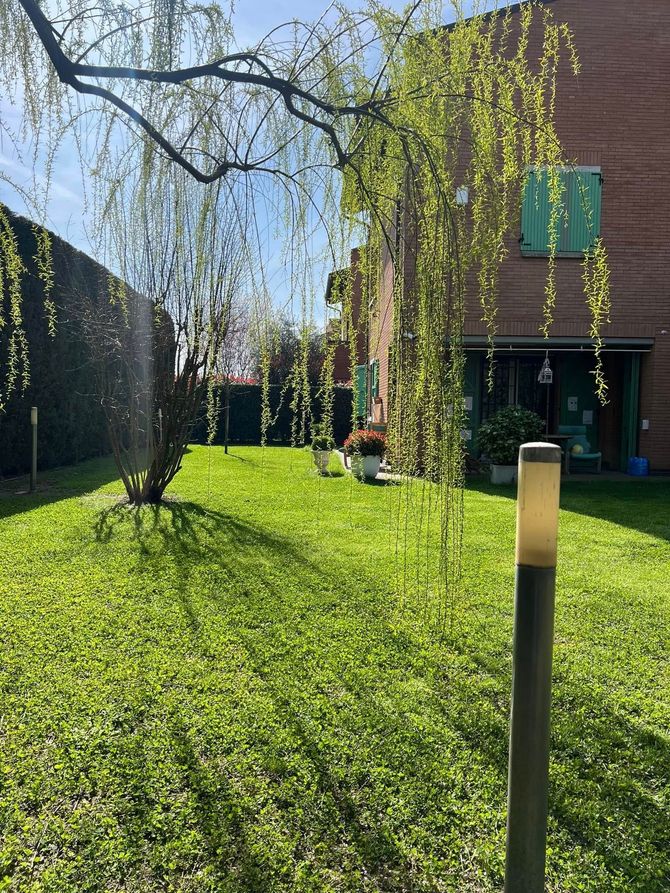 intervento di realizzazione di un giardino progettato da Emil Garden