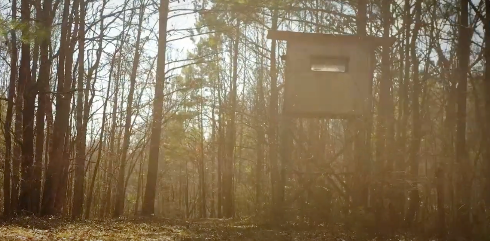 A deer stand in the middle of a forest.