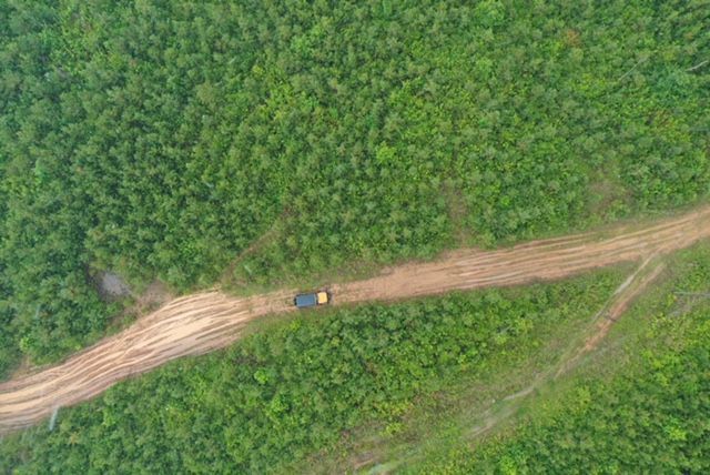 An aerial view of a dirt road in the middle of a forest.