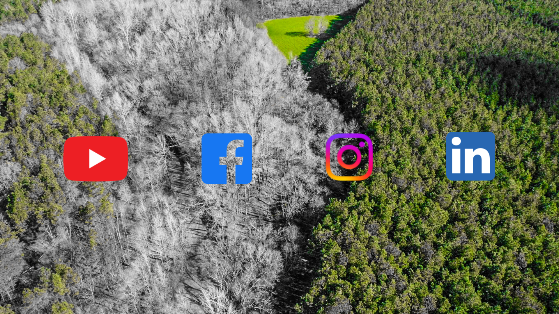 An aerial view of a forest with logos for youtube , facebook , instagram , and linkedin.