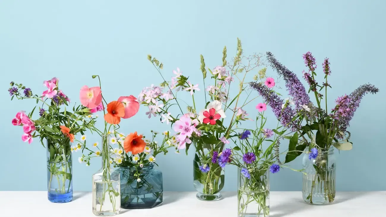 Vases of colorful wildflowers against a light blue backdrop on a white surface.