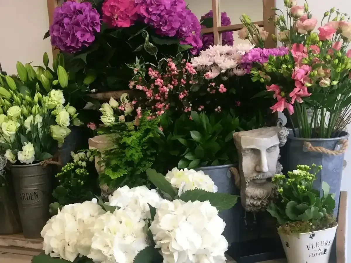 A bunch of potted flowers are sitting on a table in front of a mirror.