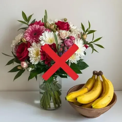 Red X over flowers and bananas; shows ethylene gas damage risk.