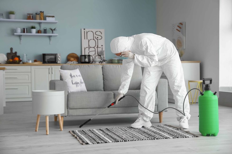 Un agent antiparasitaire en combinaison de protection pulvérise du produit sur un tapis dans une cuisine lumineuse.