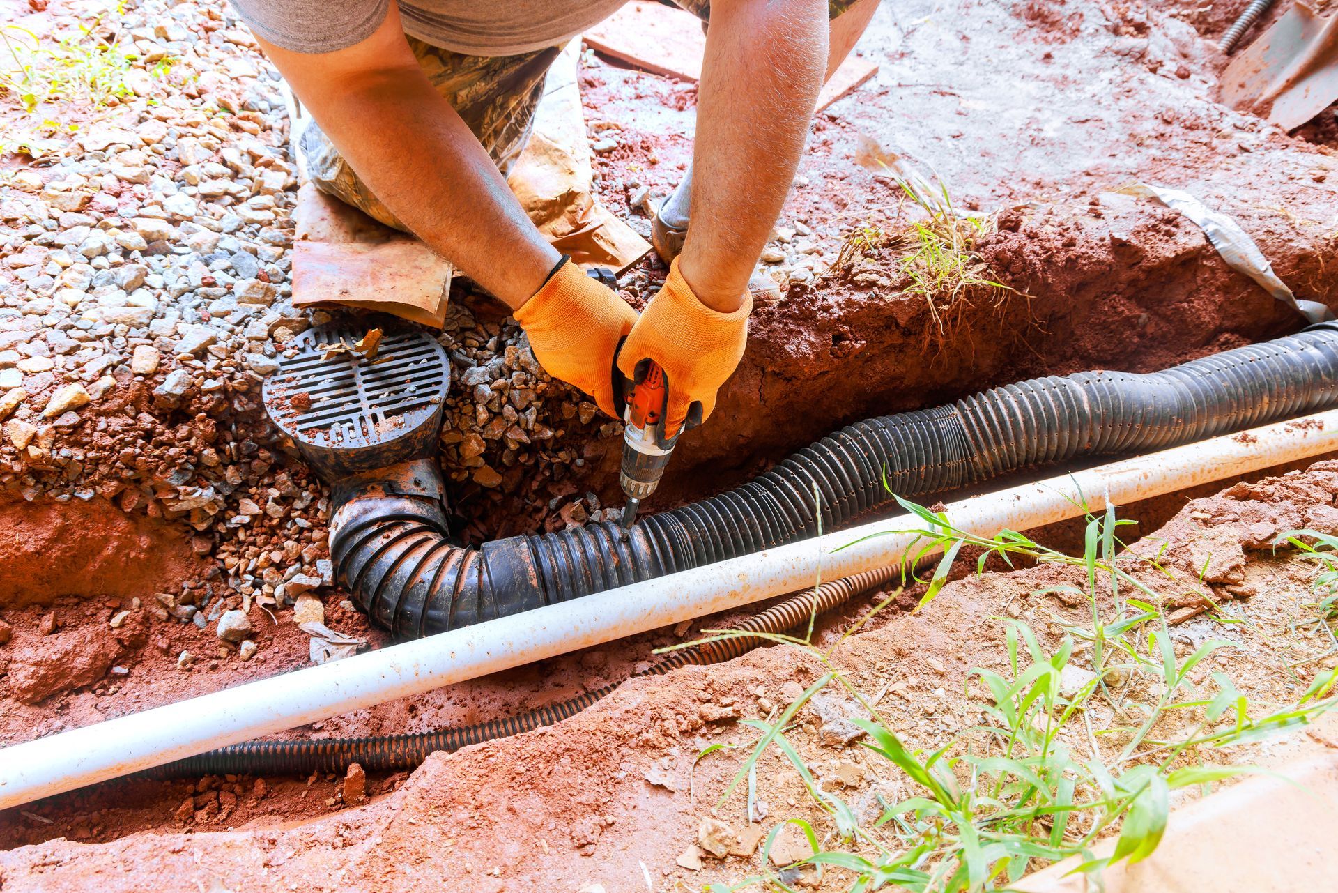 Plumber inspecting clogged storm drain with standing water